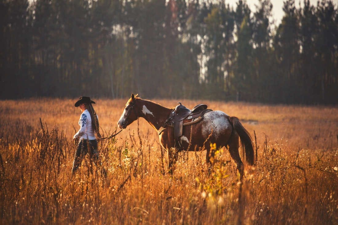 Pentoxifylline for Horses: Uses, Side Effects & Status in Competition
