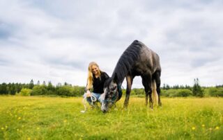 phenobarbital-for-horses