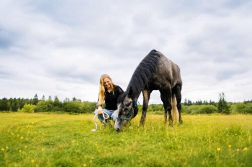 phenobarbital-for-horses