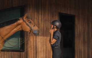 riding-helmet-for-equestrians