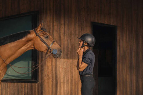 riding-helmet-for-equestrians