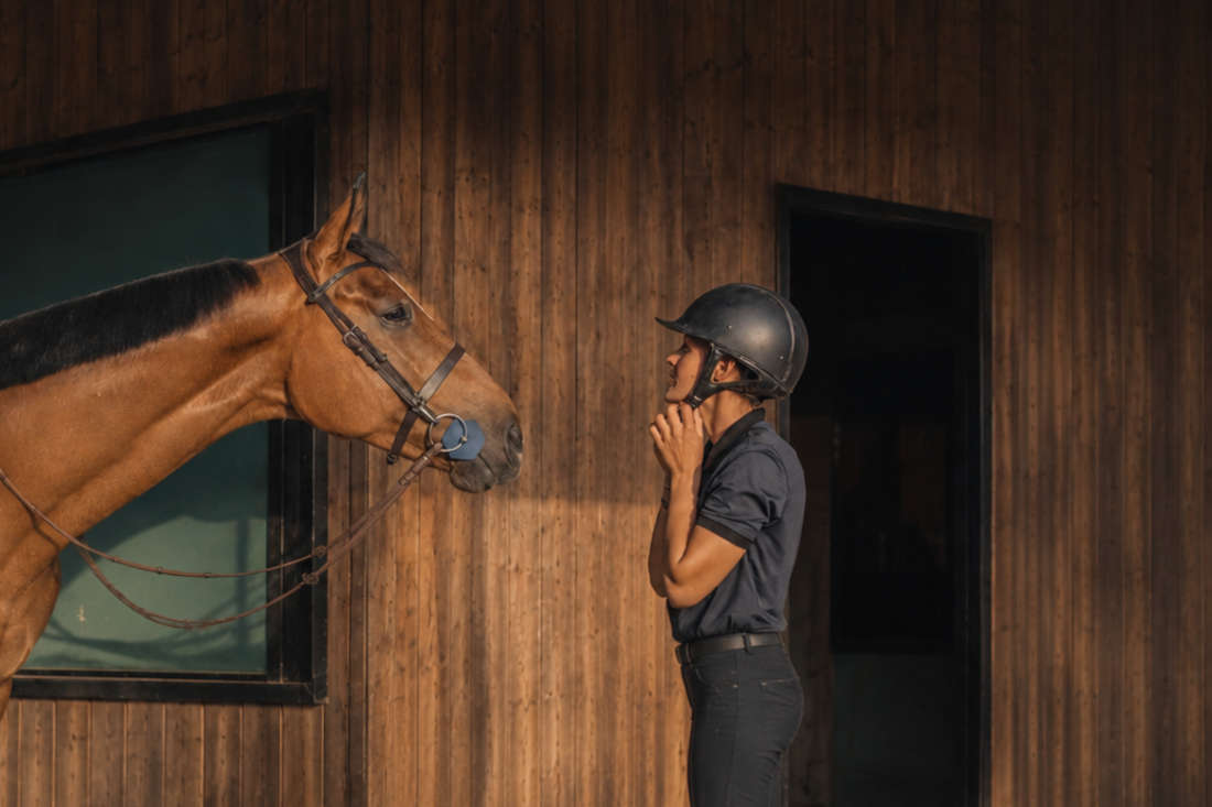 Equestrian Riding Helmets: Safety, Fit & Maintenance