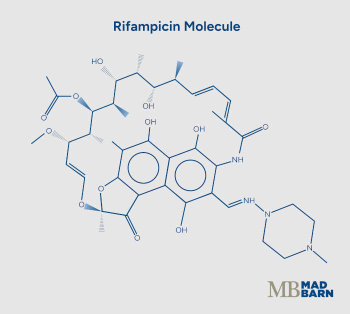 illustration of rifampicin molecule