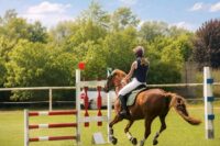 Equestrian Safety Vests: Standards, Fit, Care & Protection