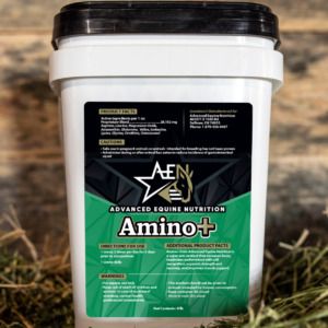 Amino+ (Advanced Equine Nutrition)