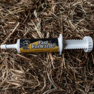 Fast Forward+ (Advanced Equine Nutrition)