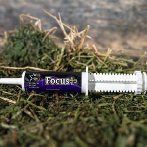 Focus+ (Advanced Equine Nutrition)