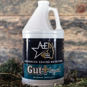 Gut+ Liquid (Advanced Equine Nutrition)