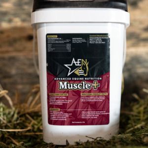 Muscle+ (Advanced Equine Nutrition)