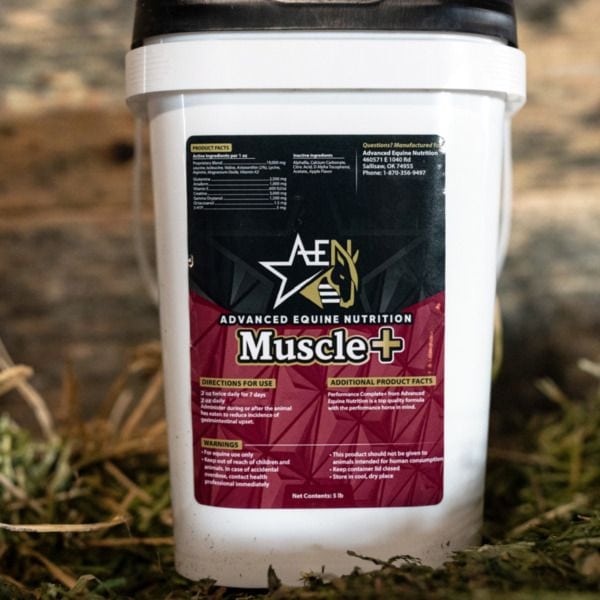 Muscle+ (Advanced Equine Nutrition)