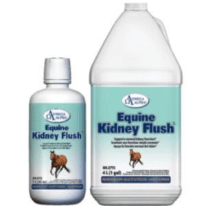 Equine Kidney Flush (Omega Alpha)