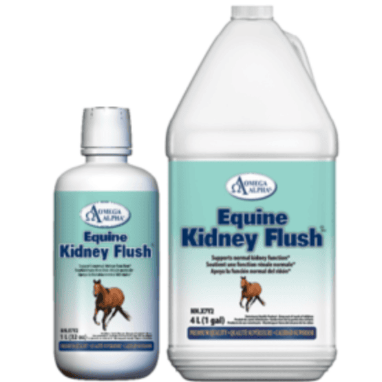 Equine Kidney Flush (Omega Alpha)