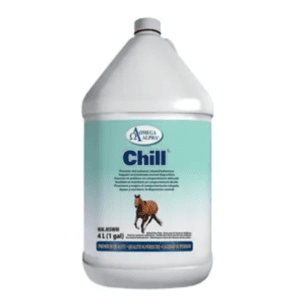 Chill (Omega Alpha)