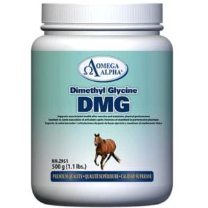 Dimethyl Glycine (DMG) (Omega Alpha)