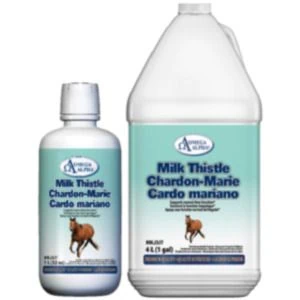Equine Milk Thistle (Omega Alpha)