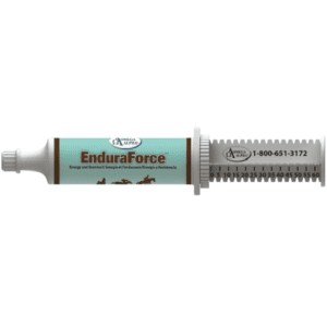 EnduraForce Paste (Omega Alpha)