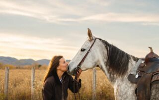 systemic-inflammatory-response-syndrome-in-horses