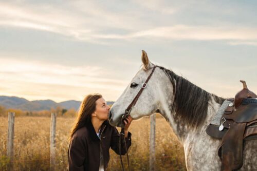 Systemic Inflammatory Response Syndrome (SIRS) in Horses: Signs, Causes & Treatment
