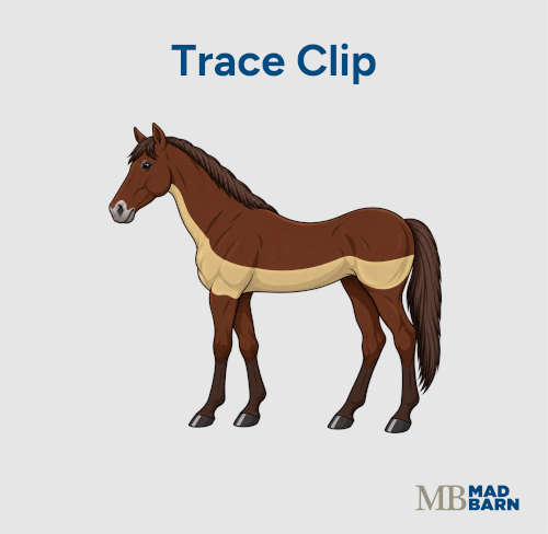 trace clip on a horse