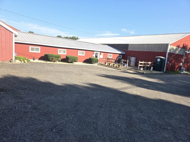 Pine Fall Farms
