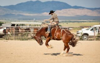 why do broncos buck