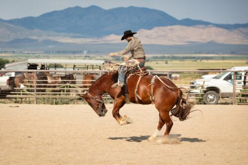 why do broncos buck