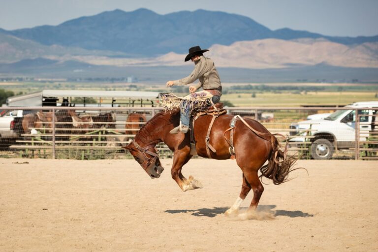 why do broncos buck