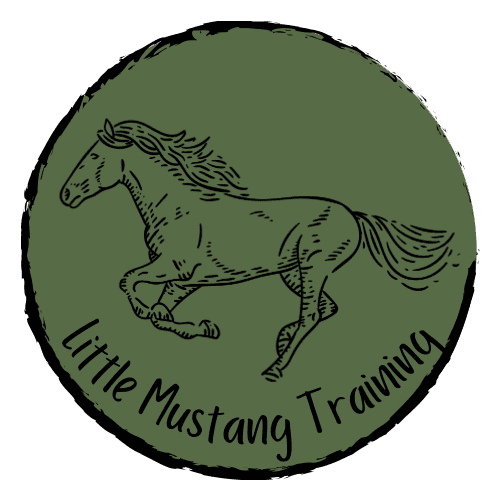 Little Mustang Training