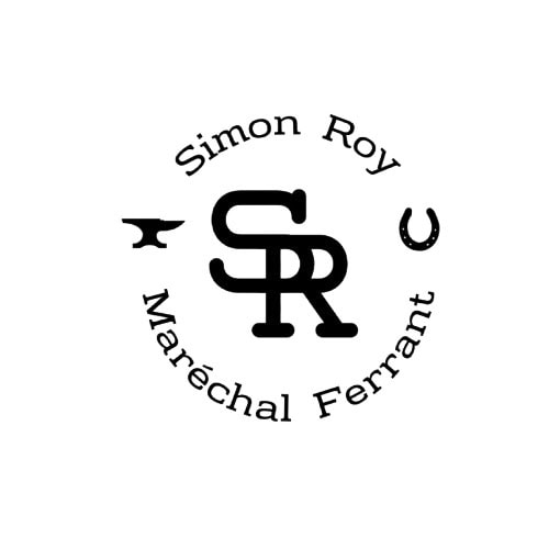 Simon Roy