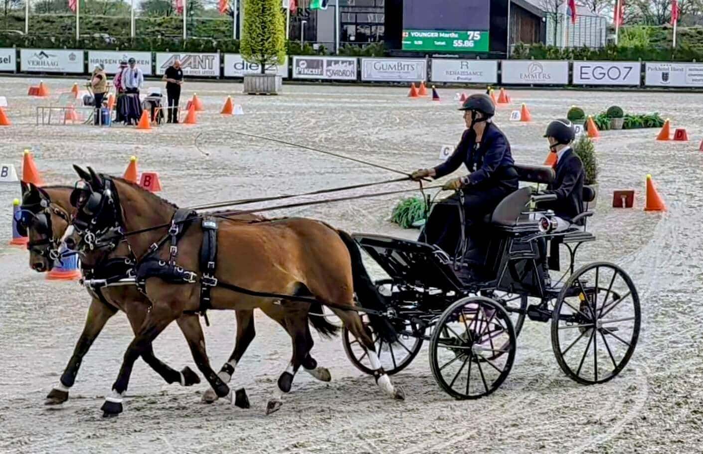 martha younger equestrian driving