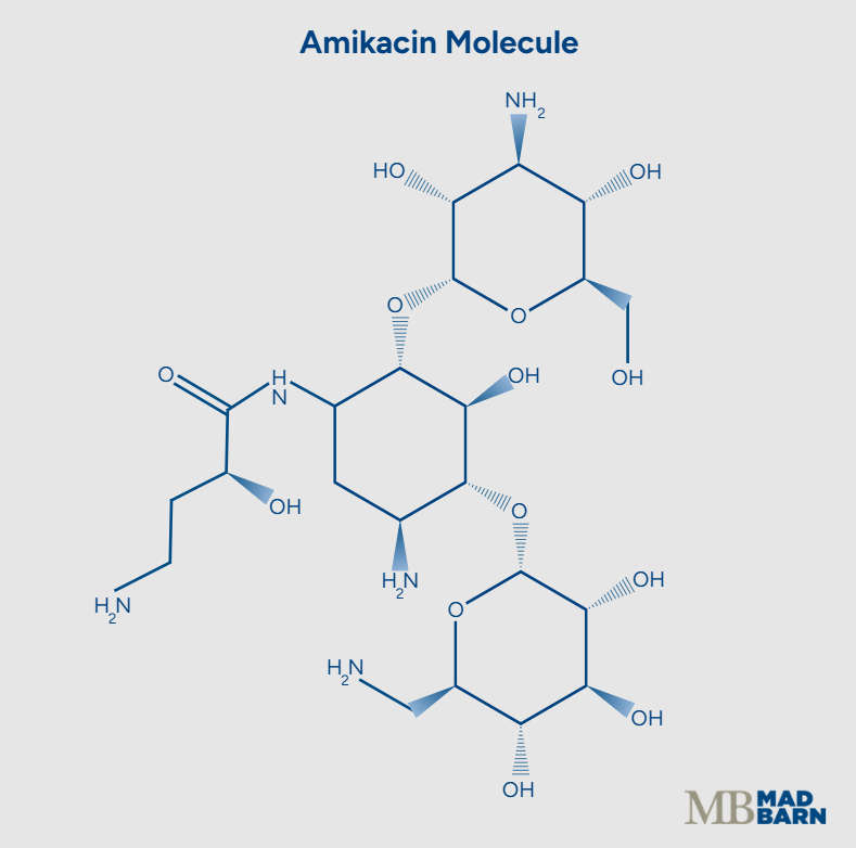 illustration of amikacin molecule