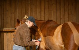 clipping-patterns-for-horses