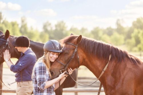 Fever (Pyrexia) in Horses: Causes, Associated Signs & Treatment for High Body Temperature