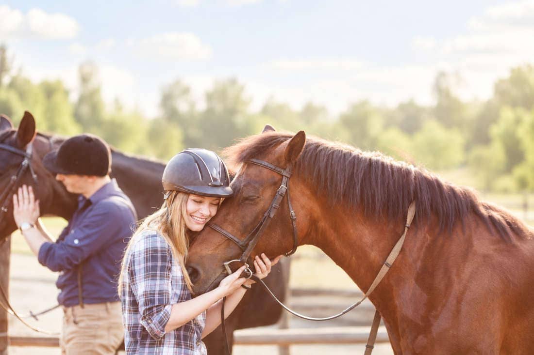 Fever (Pyrexia) in Horses: Causes, Associated Signs & Treatment for High Body Temperature