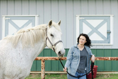 Why Is My Horse Hard to Catch? Causes & Training Tips