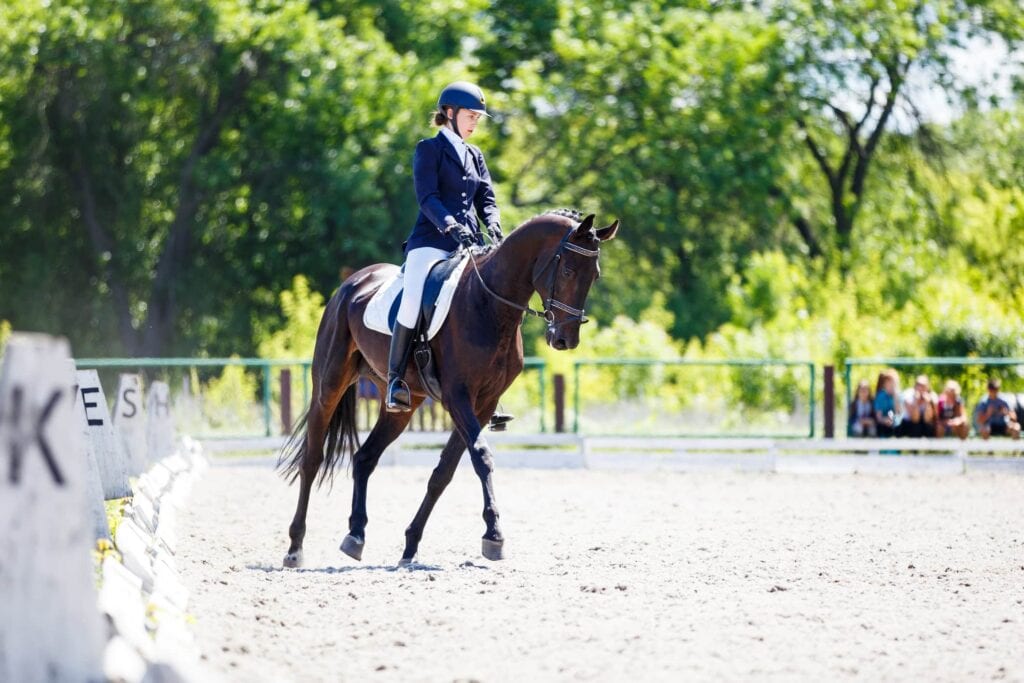 Cross Cantering in Horses: Causes, Signs & How to Fix a Disunited Canter