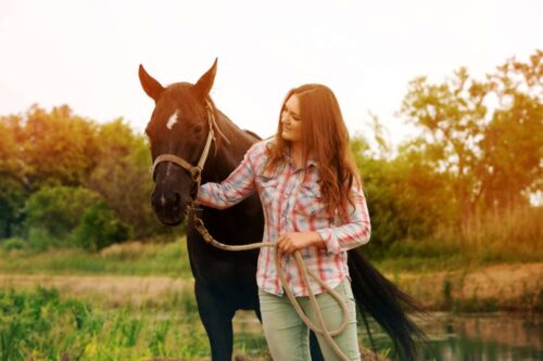 How to Lead a Horse: A Step-By-Step Guide