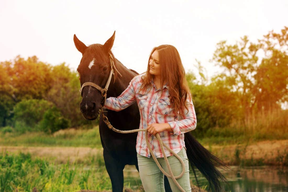 How to Lead a Horse: A Step-By-Step Guide