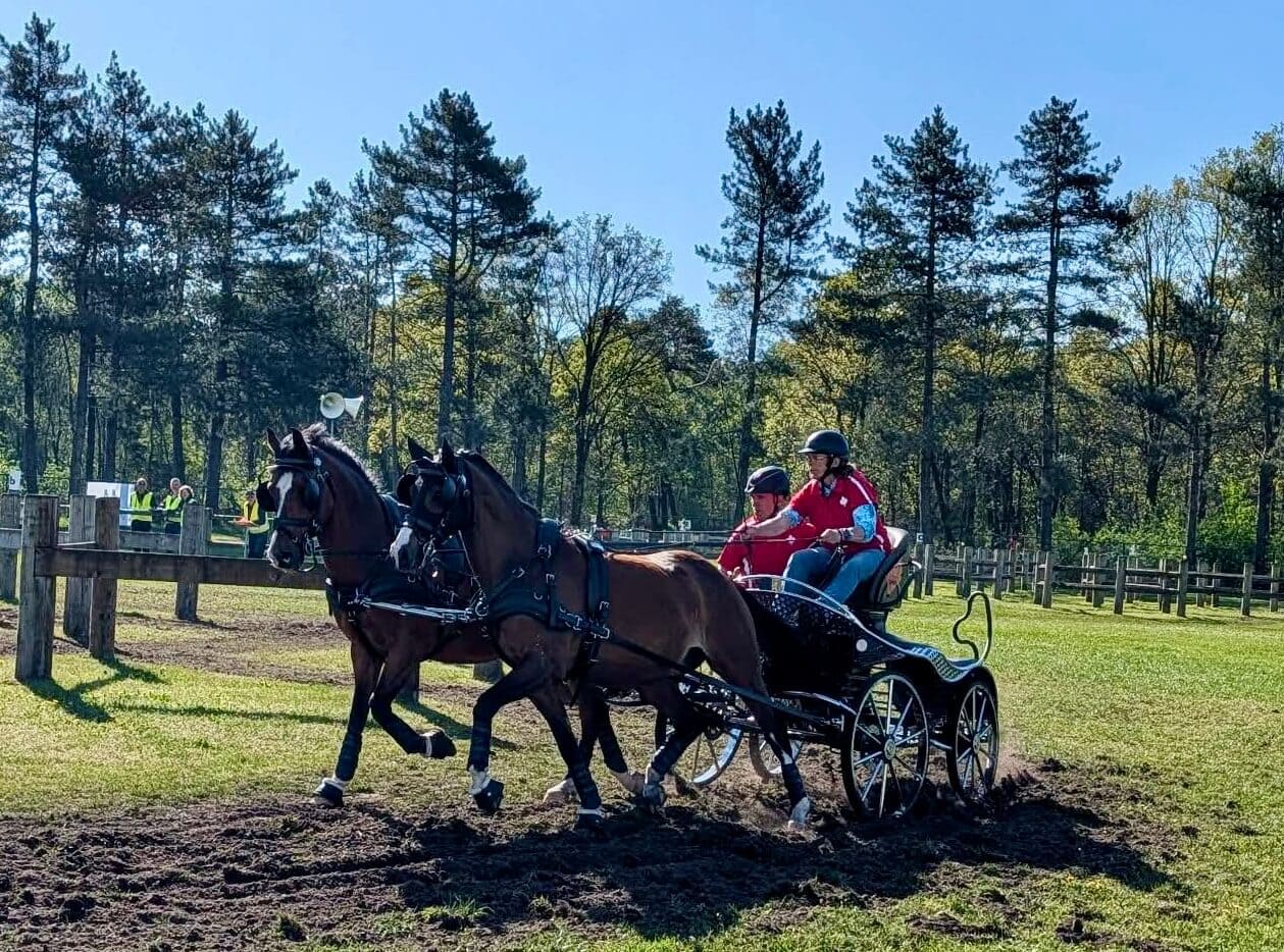 martha younger equestrian driving