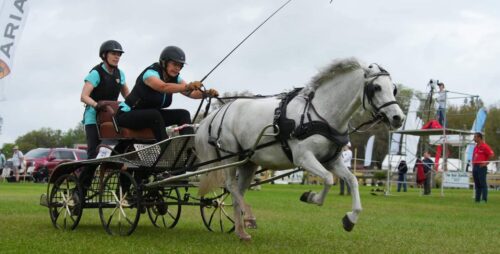 Martha Younger: Driving Toward the 2027 FEI Pony World Championships