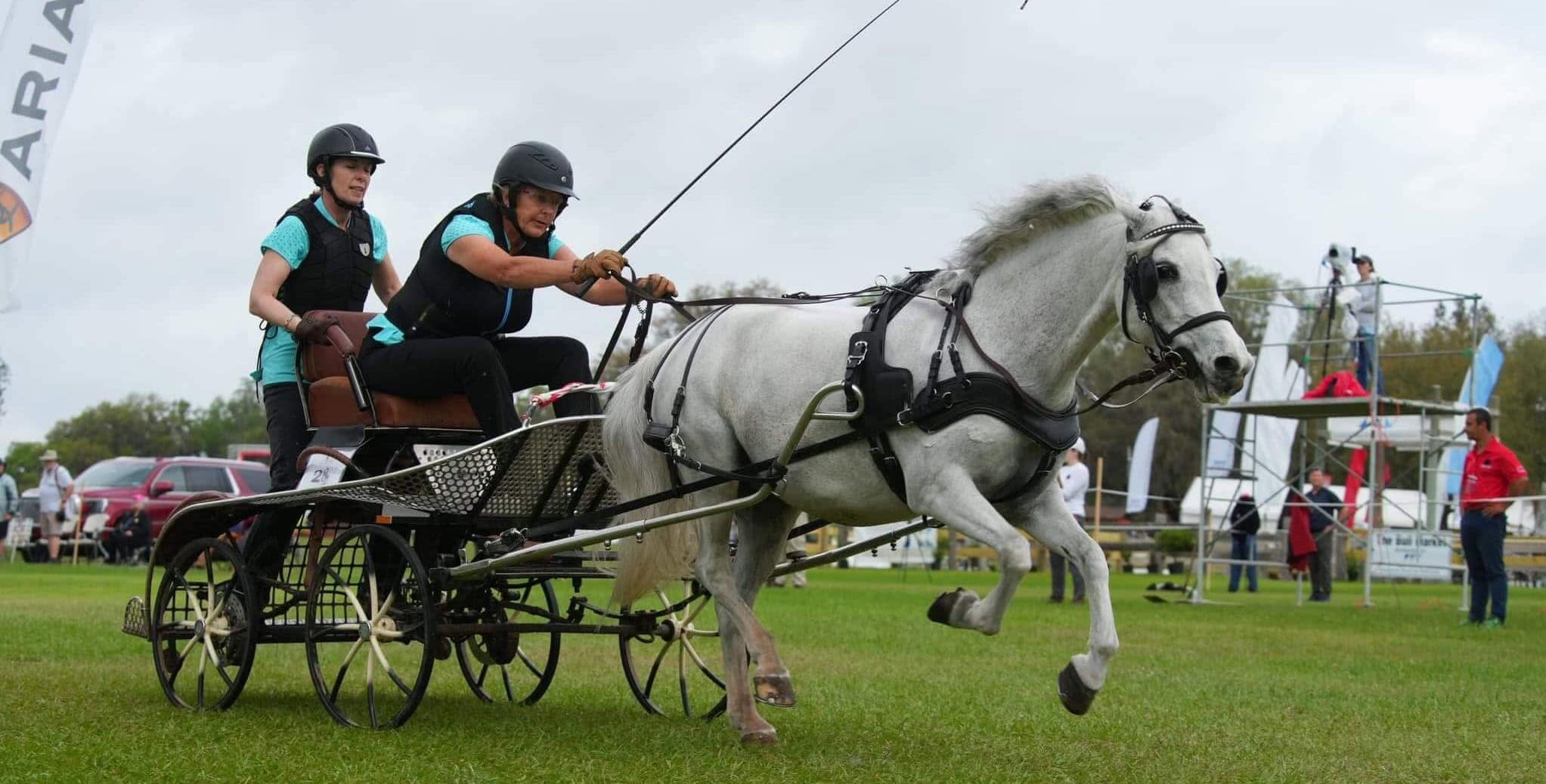 Martha Younger: Driving Toward the 2027 FEI Pony World Championships