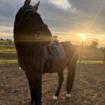 | Mad Barn USA