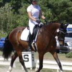 | Mad Barn USA