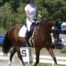 | Mad Barn USA