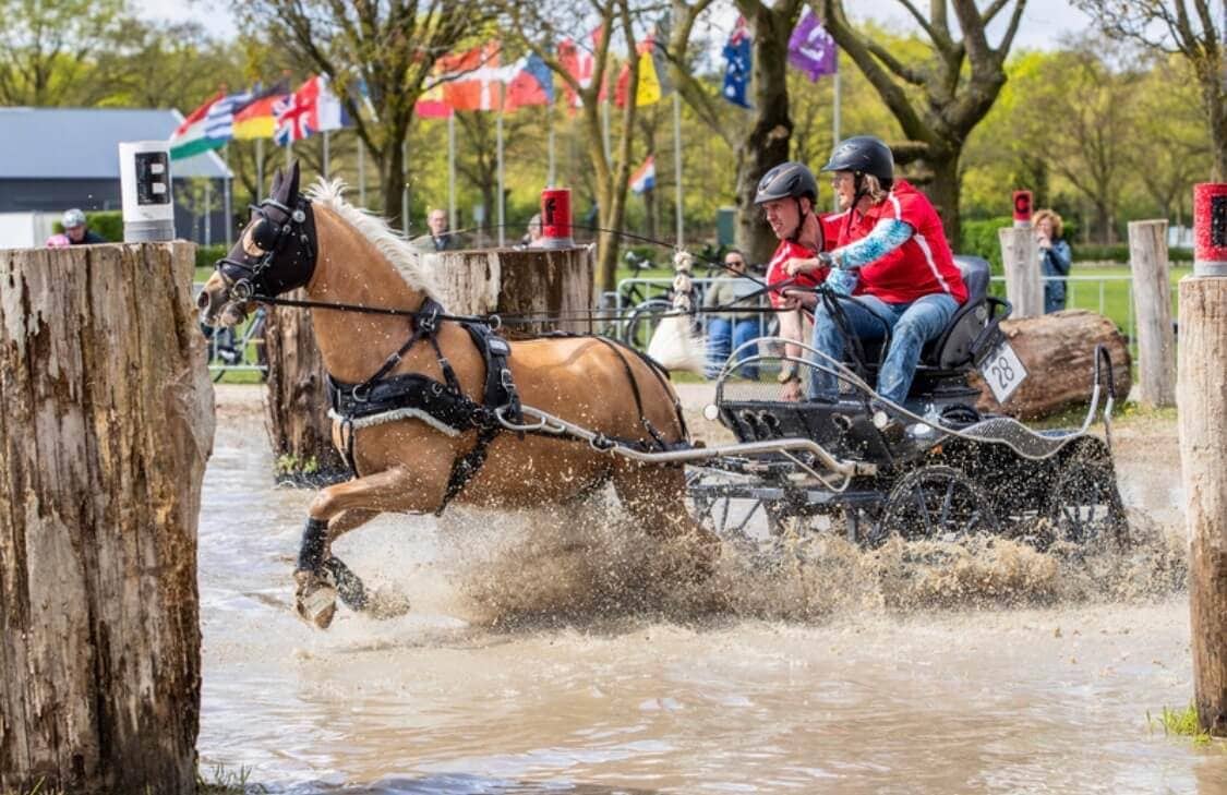 martha younger equestrian driving