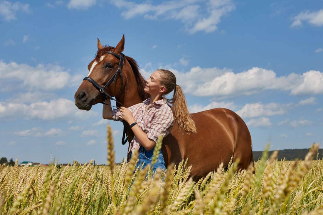 Locoweed Poisoning in Horses: Symptoms, Treatment & Prevention