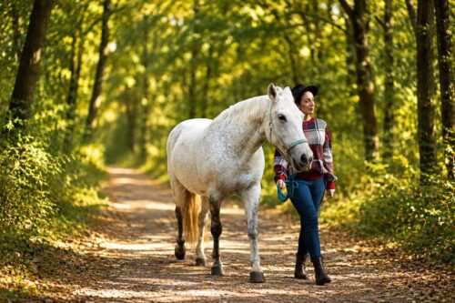 Metformin for Horses: Uses, Side Effects & Status in Competition