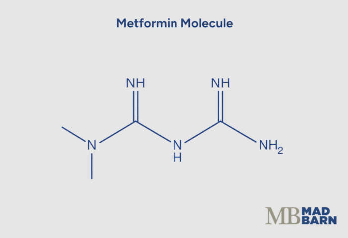 illustration of metformin molecule