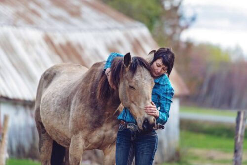 Metoclopramide for Horses: Uses, Side Effects & Status in Competition