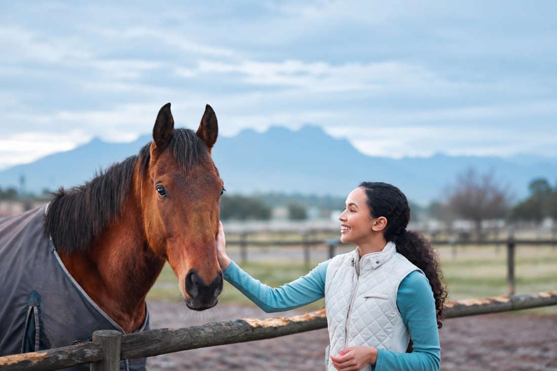 Morphine for Horses: Uses, Side Effects & Status in Competition
